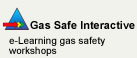 Gas Safe Interactive